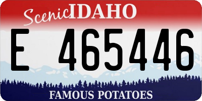 ID license plate E465446