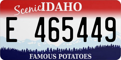 ID license plate E465449