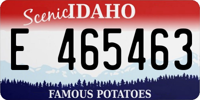 ID license plate E465463