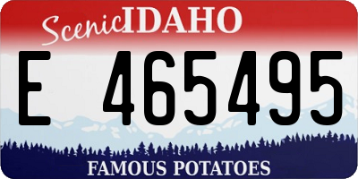 ID license plate E465495