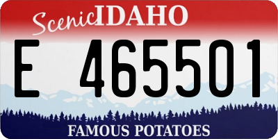 ID license plate E465501