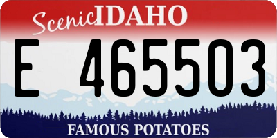 ID license plate E465503