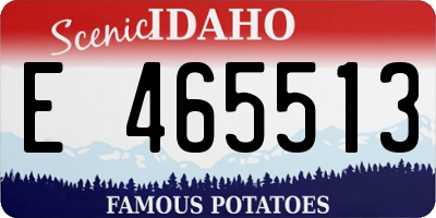 ID license plate E465513