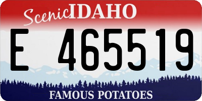 ID license plate E465519