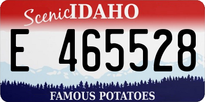ID license plate E465528
