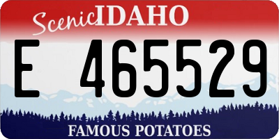 ID license plate E465529