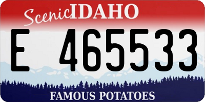 ID license plate E465533
