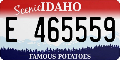 ID license plate E465559
