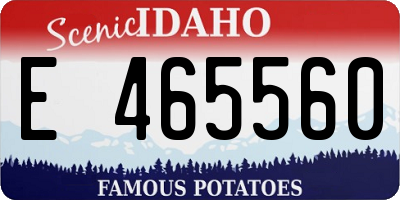 ID license plate E465560
