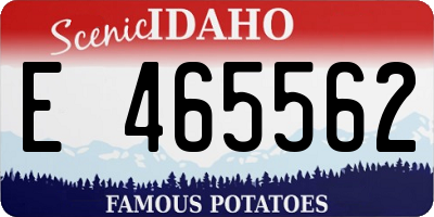 ID license plate E465562