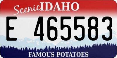 ID license plate E465583