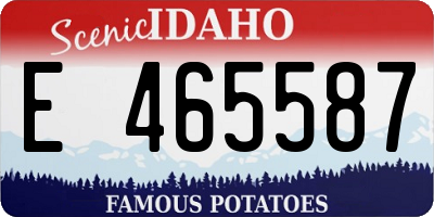 ID license plate E465587
