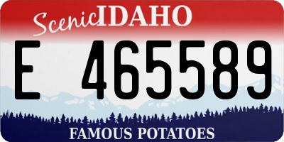 ID license plate E465589