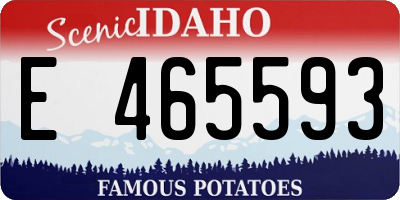 ID license plate E465593