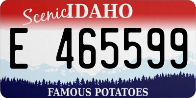 ID license plate E465599
