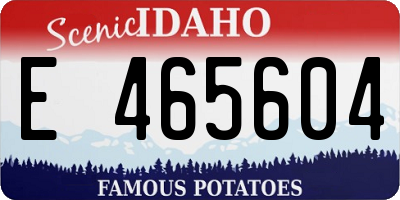 ID license plate E465604
