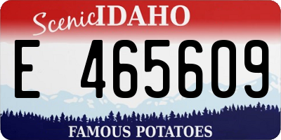 ID license plate E465609