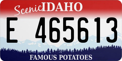 ID license plate E465613
