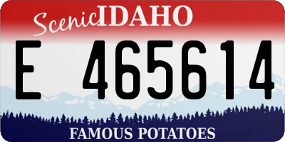 ID license plate E465614
