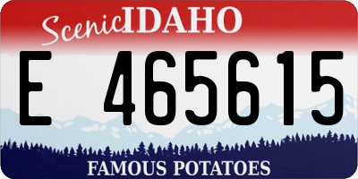 ID license plate E465615