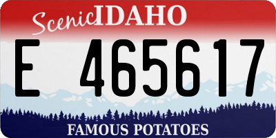 ID license plate E465617