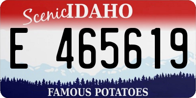 ID license plate E465619