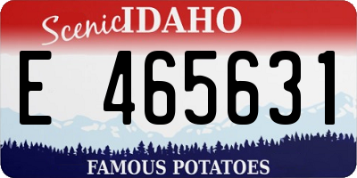 ID license plate E465631
