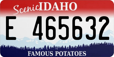 ID license plate E465632