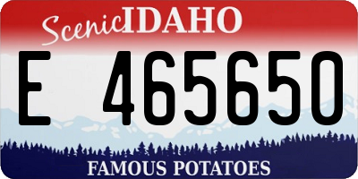 ID license plate E465650