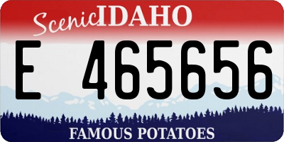 ID license plate E465656