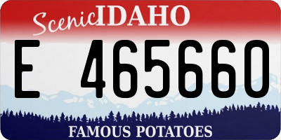 ID license plate E465660