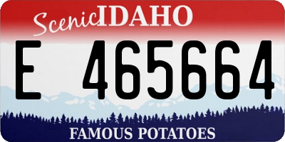 ID license plate E465664