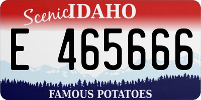 ID license plate E465666
