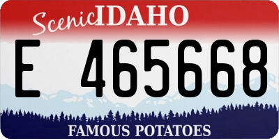 ID license plate E465668