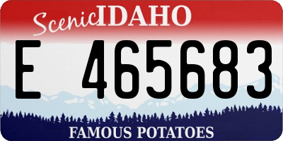 ID license plate E465683