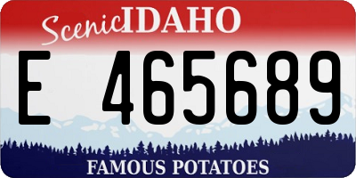 ID license plate E465689