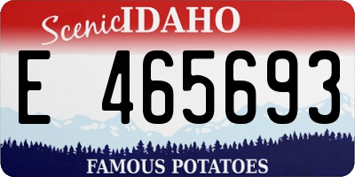 ID license plate E465693