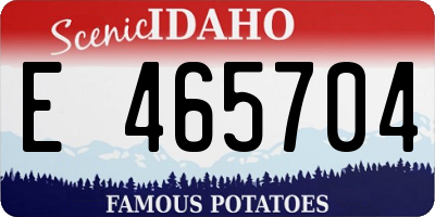 ID license plate E465704