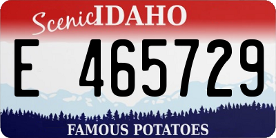 ID license plate E465729