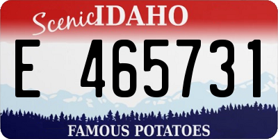 ID license plate E465731