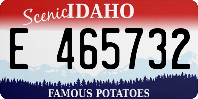 ID license plate E465732