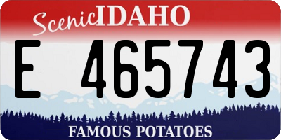 ID license plate E465743
