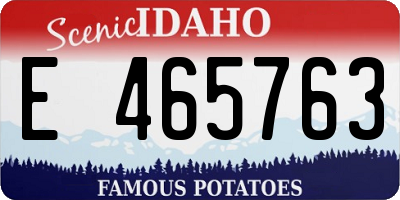 ID license plate E465763
