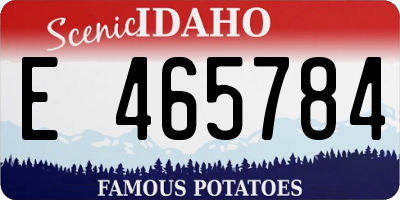 ID license plate E465784