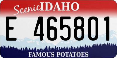 ID license plate E465801