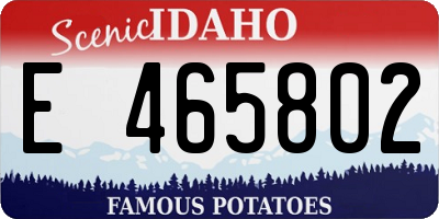 ID license plate E465802