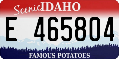ID license plate E465804