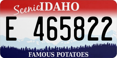ID license plate E465822