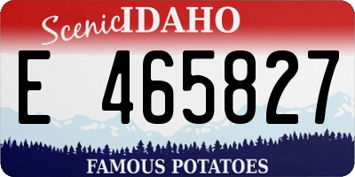 ID license plate E465827