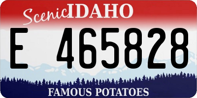 ID license plate E465828